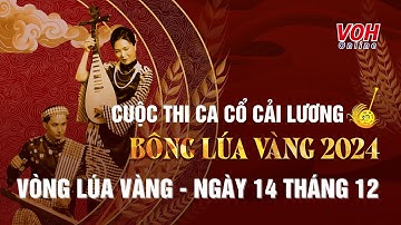 BÔNG LÚA VÀNG 2024 - Ngày 14/12/2024 | Vòng Lúa Vàng - Ca cổ cải lương - Full Show