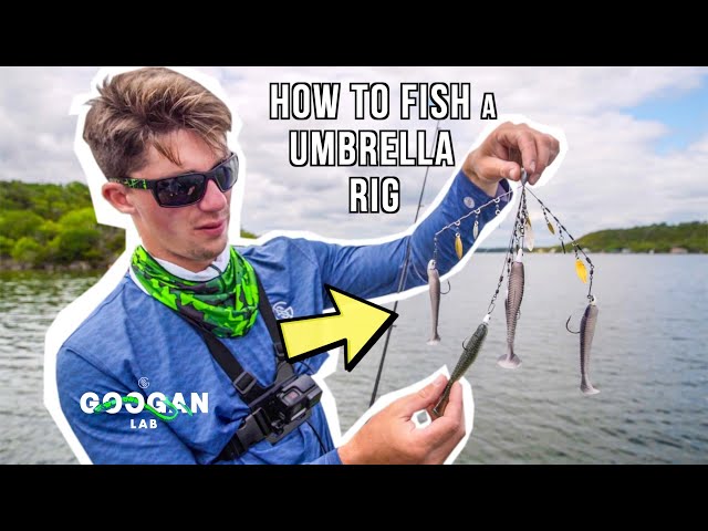 HOW TO FISH A UMBRELLA RIG! ( Alabama RIG ) 