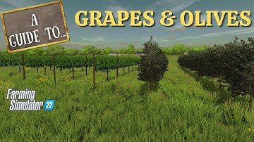 A GUIDE TO GRAPES & OLIVES in Farming Simulator 22 | PS5 | FS22