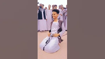عرض بني عامر 