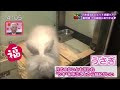 井上小百合が可愛すぎる件  お前がいっちゃん可愛いよ【乃木坂46】