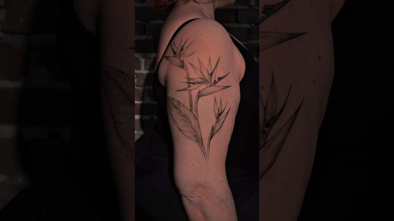 Paradiesvogelblume als Tattoo #tattoolife #floraltattoo #finelinetattoo # tattoo - YouTube