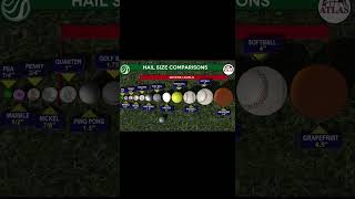 Hail Size Comparisons
