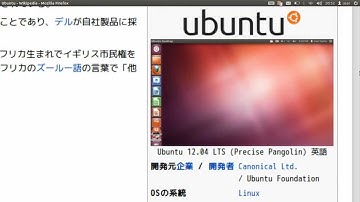 Testing compiz zoom in Ubuntu