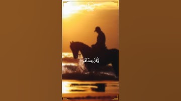 وكان عند الله وجيها _سورة الأحزاب | الشيخ محمد اللحيدان #تلاوة_خاشعة #قرآن #محمد_اللحيدان #اللحيدان