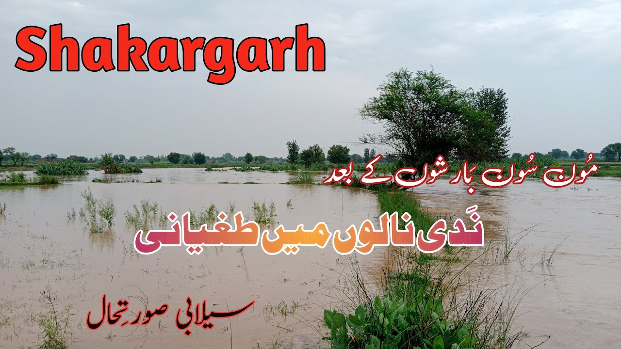Flood Situation in Shakargarh , Punjab After Moon Soon Heavy Rainfall
