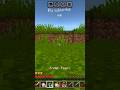 #minecraft #iconic