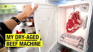 3. The DryAged Beef Machine | How I Dry Age Beef At Home