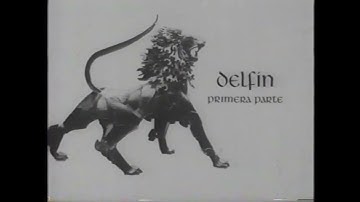 DELFÍN: Primera Parte