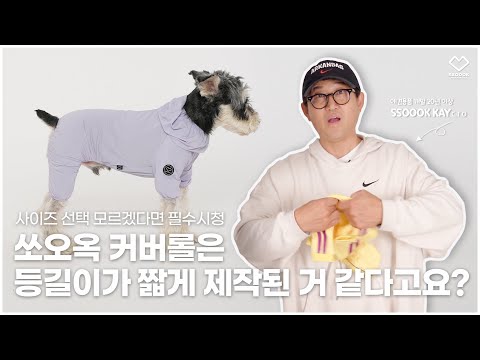 강아지옷 쏘오옥 커버롤 사이즈 선택 TIP‼️ 쏘오옥 올인원 등길이 짧다고 느끼신 분⭐️필수시청⭐️