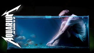 видео: АкваДискуссия: кормим сайдексом траву, питгрунты и вариативная пропорция Хетфилда картинка: АкваДискуссия: кормим сайдексом траву, питгрунты и вариативная пропорция Хетфилда