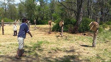 SloMo Tomahawk Throw 2