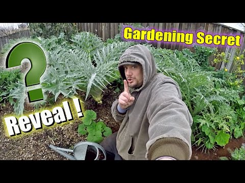 my-secret-garden-fertilizer-revealed!-it's-like-a-gardening-miracle!!