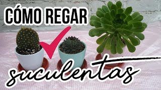 CÓMO REGAR CACTUS/2 MÉTODOS PARA REGAR SUCULENTAS