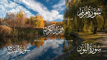 سورة مريم | سورة المؤمنون | سورة النور | سورة الفتح | الشيخ خالد الجليل - Sheikh Khalid Al-Jalil