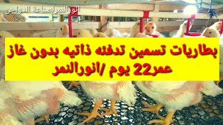 بطاريات تسمين تدفئه ذاتيه
(عمر22يوم) بدون غاز/انورالنمر