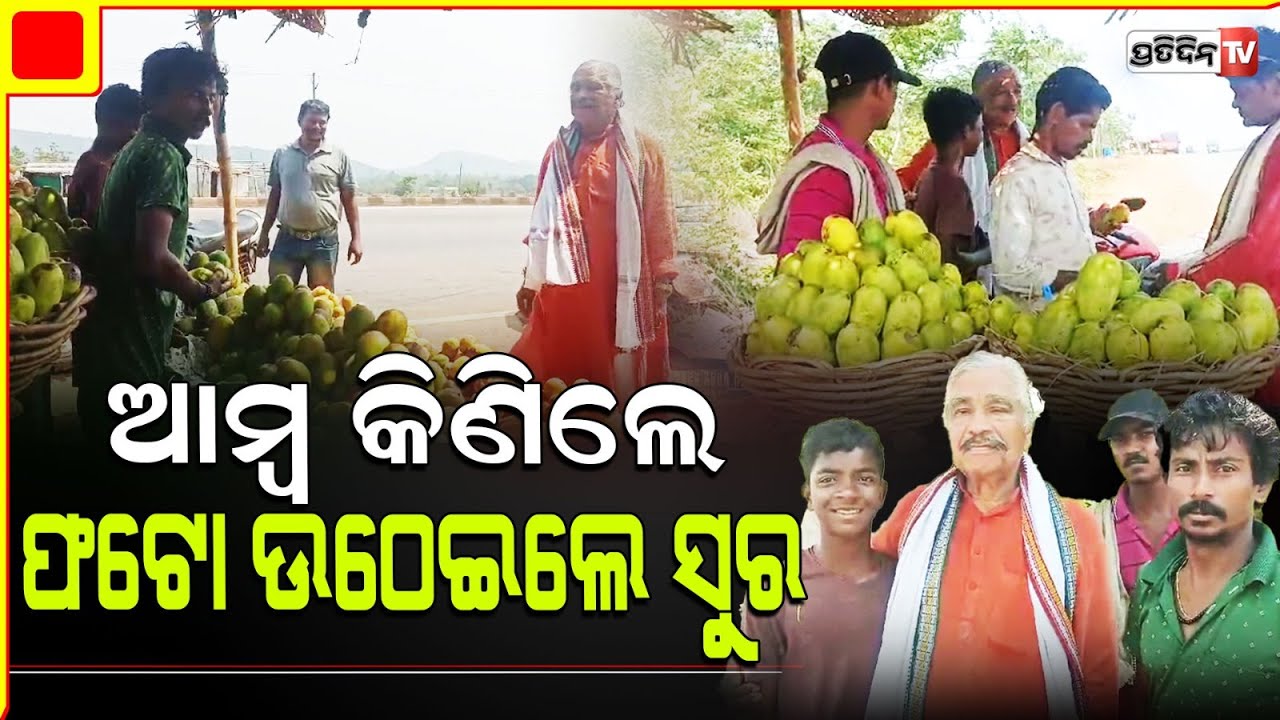 ରସୁଆଳ ଆମ୍ବ ଦେଖି ଅଟକିଲେ ସୁର ଅଜା ,ପିଲାଙ୍କ ସହ ଉଠାଇଲେ ଫଟୋ l MLA Sura Routray