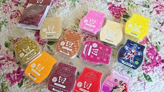 Very Belated 2025 Scentsy Sale Haul & First Cold Sniff Impressions
