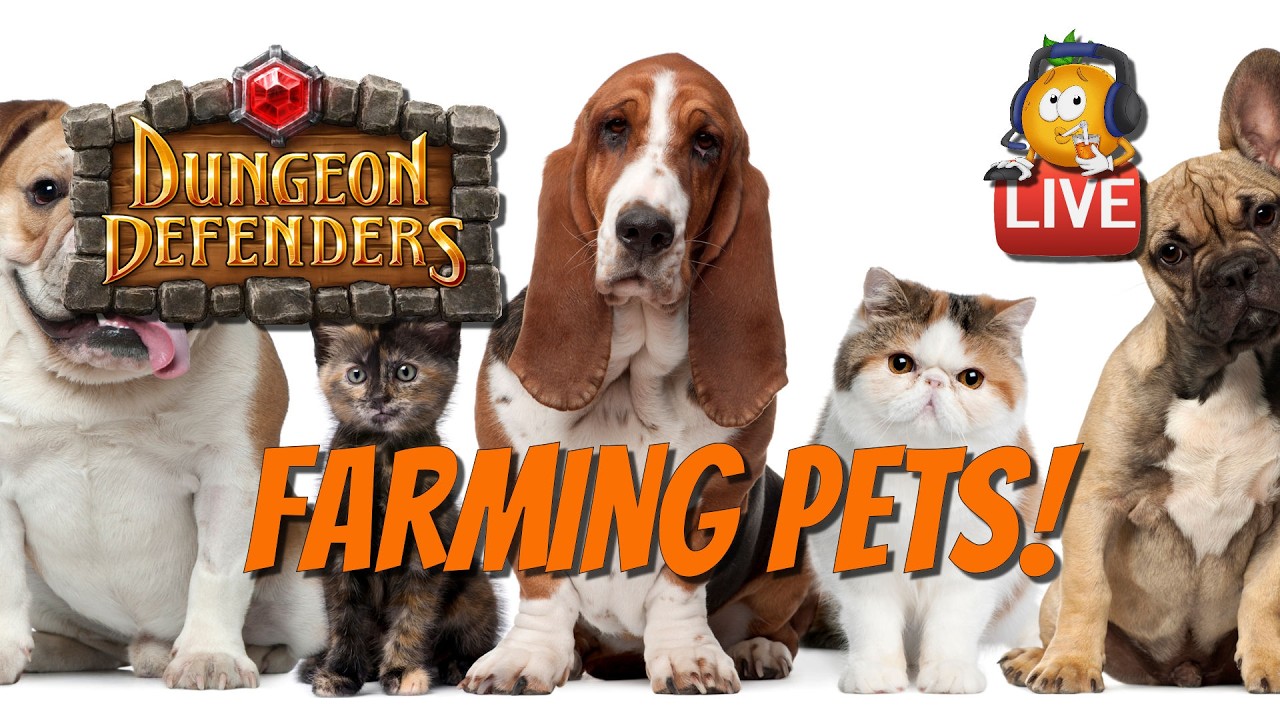Dungeon Defenders 2026! Live Episode - Farming Pets!