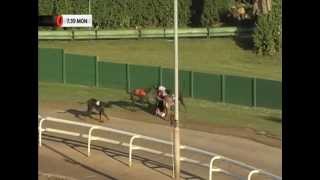 Mikeys Man - 2 year old puppy BROKE DOWN
Last night at Monmore dog track Mikeys Man - a 2 year old puppy - DID NOT FINISH
Race comments stated he BROKE DOWN in what was only his 3rd race.
www.greytexploitations.com Mikeys Man - 2 year old puppy BROKE DOWN