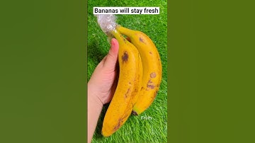 SUPER LAZY LIFE HACKS || Funny And Smart Hacks For Lazy People #shorts #lifehacks #fruity