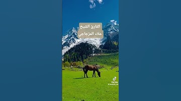 القارئ الشيخ علاء المزجاجي