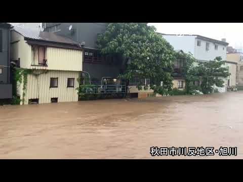 秋田県内大雨 秋田市川反地区・旭川