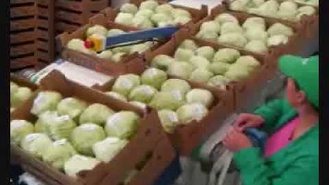 BrimaPack - VePack with ROP film  - Single machine with integrated labeling