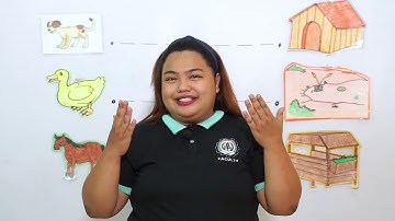 Kinder Lesson on Vertical and Horizontal Lines