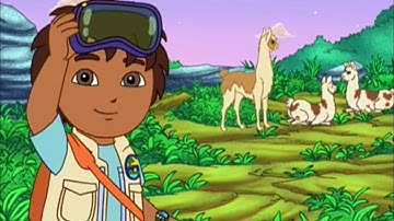Searching For Llamas - Go Diego Go! Compilation Video