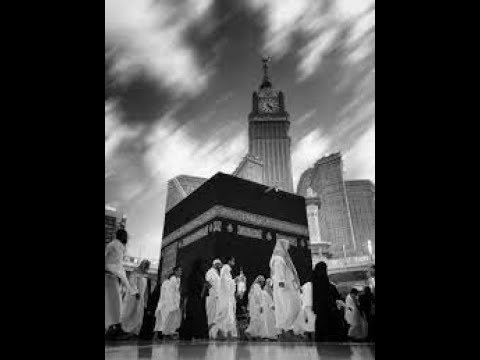 Почему Аллах ﷻ создал больных и инвалидов В чем их вина Закир Найк