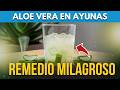 JUGO DE ALOE VERA EN AYUNAS - ¿Para Qué Sirve? - Beneficios De La Sábila Para Tu Salud Y Belleza