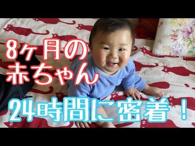 生後8ヶ月赤ちゃんの24時間に密着 タッチ お散歩 じいじと戯れ Youtube 生後8ヶ月赤ちゃんの24時間に密着 タッチ お散歩 じいじと戯れ Youtube