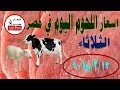 اسعار اللحوم اليوم في مصر | الثلاثاء 13/2/2018