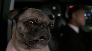 Men in Black 2- Frank the Pug singing