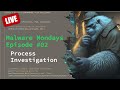  malware mondays episode 02  investigating processes with process explorer and system informer