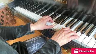 London Bridge Suzuki Piano screenshot 4