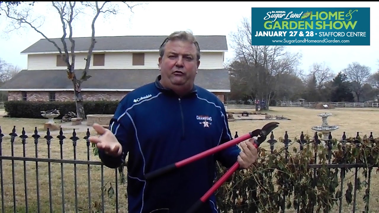 GardenLine s Randy Lemmon At 8th Annual Sugar Land Home Garden Show gardenline-s-randy-lemmon-at-8th-annual-sugar-land-home-garden-show