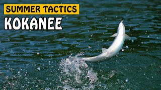 SUMMER KOKANEE SALMON TACTICS | Fishing with Rod