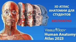 Human Anatomy Atlas (3D) - бесплатная версия и подробный обзор screenshot 4