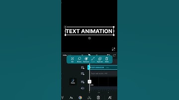 Text Animation In Vn Video Editor