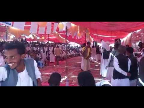 القامه البجاوي كمال حجاج رابطة طلال قرية الماريا ولاية كسلا 