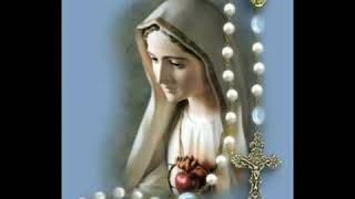 Feast of the Most Holy Rosary by Fr Brendan Hughes