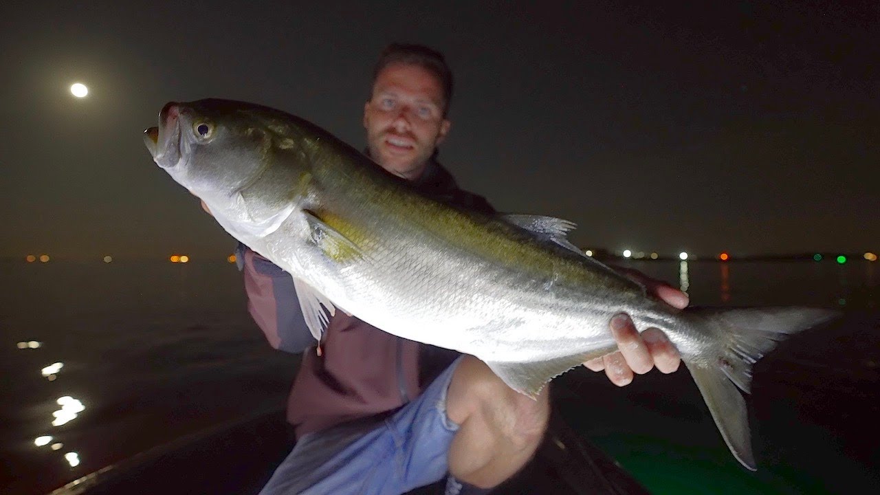 Spinning NOTTURNO ai SERRA di VENEZIA - Top Water Fishing for BLUEFISH