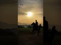ئەسپ Horser Musicgenre Hors Musicsong Horspower جاوید جۆلان شاوک ئەسپ Horser Musicgenre Hors Musicsong Horspower جاوید جۆلان شاوک