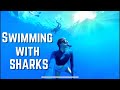 Swimming with SHARKS with NO CAGE !!! |HAWAII VLOG 2021