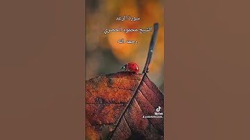 سورة الرعد قرٱن كريم