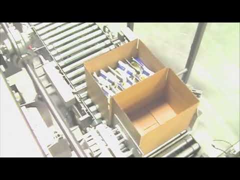 BluePrint Automation (BPA) Case Packer Cubemaster 200