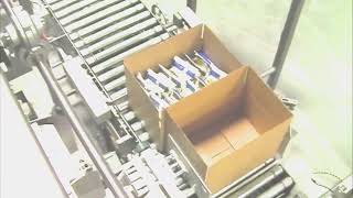 BluePrint Automation (BPA) Case Packer Cubemaster 200 BluePrint Automation (BPA) Case Packer Cubemaster 200