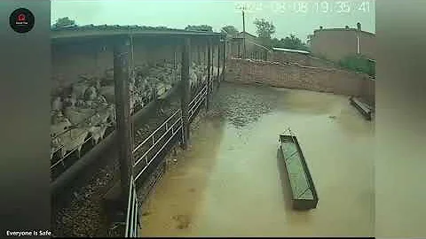 '75 Shocking Natural Disasters Ever Caught on Camera!'